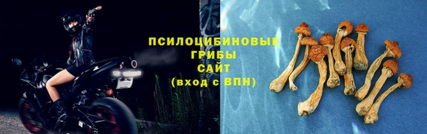 PSILOCYBIN Алзамай