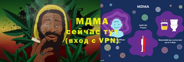 PSILOCYBIN Алзамай