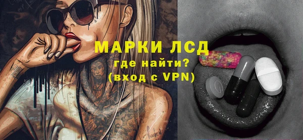 PSILOCYBIN Алзамай